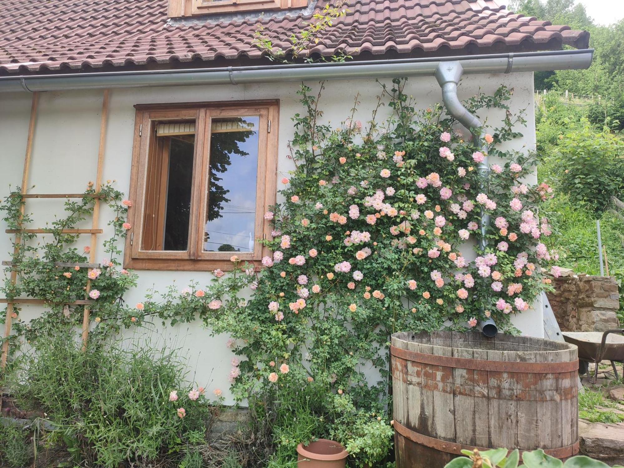 Stodola Svaty Stepan Apartment Bylnice Exterior foto